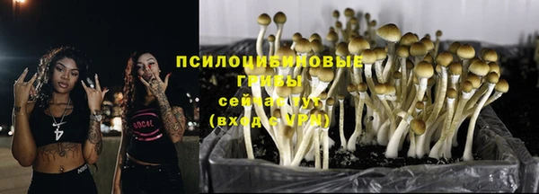 метадон Гусиноозёрск