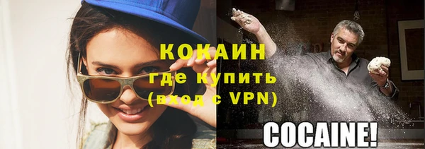 мяу мяу мука Гусь-Хрустальный