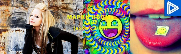 мяу мяу мука Гусь-Хрустальный