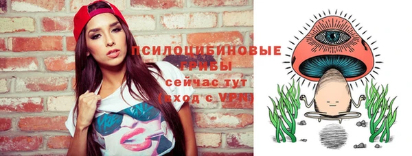 метадон Гусиноозёрск
