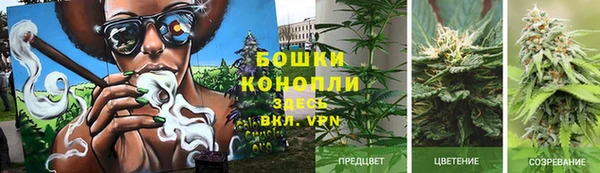 метадон Гусиноозёрск